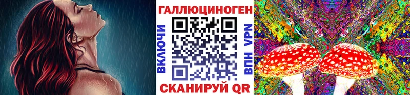 Псилоцибиновые грибы прущие грибы  сайты даркнета какой сайт  Моршанск  цена   МЕГА ссылки 